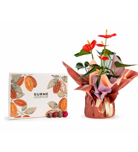 Buket Kağıtlı Pembe Antoryum ve Gurme Lezzetler