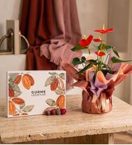 Buket Kağıtlı Pembe Antoryum ve Gurme Lezzetler
