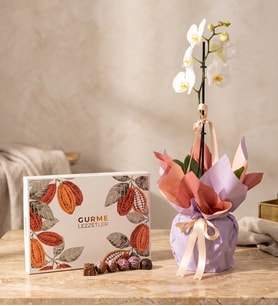 Buketli Saksıda Tekli Beyaz Orkide ve Gurme Lezzetler
