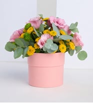 Pembe Beton Saksıda Pembe Lisyantus ve Krizantemler
