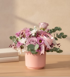 Pembe Saksıda Lila Gül, Beyaz ve Pembe Papatyalar
