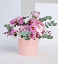 Pembe Saksıda Lila Gül, Beyaz ve Pembe Papatyalar