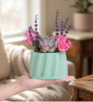 Turkuaz Saksıda Echeveria Perle ve Çardak Güller