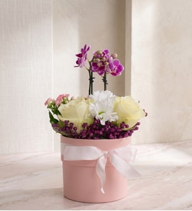 Pembe Polimer Saksıda Mini Orkide ve Beyaz Güller