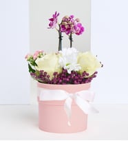 Pembe Polimer Saksıda Mini Orkide ve Beyaz Güller