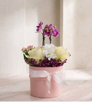 Pembe Polimer Saksıda Mini Orkide ve Beyaz Güller