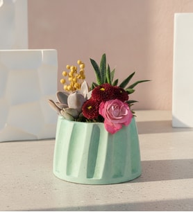 Turkuaz Sütun Saksıda Haworthia ve Echeveria Perle