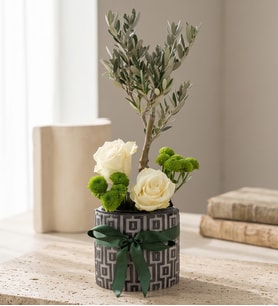Desenli Saksıda Zeytin Ağacı Bonsai & Beyaz Güller