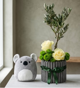 Desenli Saksıda Zeytin Ağacı ve Koala Yastık