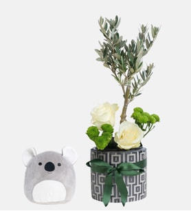 Desenli Saksıda Zeytin Ağacı ve Koala Yastık