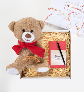 Kırmızı Defter ve Peluş Ayıcıklı Hediye Kutusu