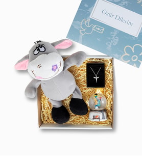 Peluş Eşek ve Kolyeli Özür Dilerim Hediye Kutusu