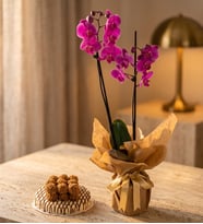 Mor Çiftli Orkide ve Pasta Temalı Lotus Biscoff®'lu Kekler