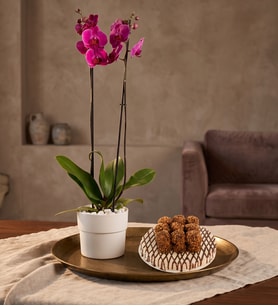 Polimer Saksıda Mor Çift Orkide ve Lotus Biscoff®'lu Kekler
