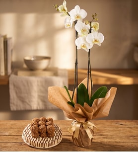 Beyaz Çiftli Orkide ve Pasta Temalı Lotus Biscoff®'lu Kekler