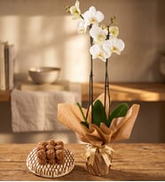 Beyaz Çiftli Orkide ve Pasta Temalı Lotus Biscoff®'lu Kekler