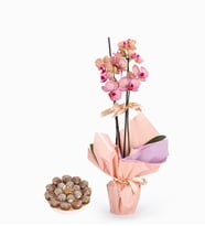 Sürpriz Renk Çiftli Midi Orkide ve Lotus Biscoff®'lu Kekler-Lila Buket Tasarımı