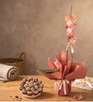 Sürpriz Renk Tekli Midi Orkide ve Lotus Biscoff® Kekler-Somon Buket Tasarım