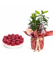 Buket Kağıtlı Lilyum ve Karışık Gurme Lezzetler
