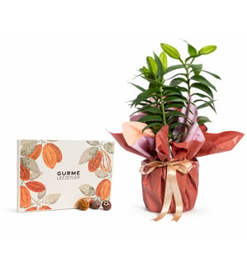 Buket Kağıdında Lilyum ve Karışık Gurme Lezzetler