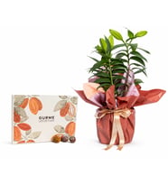 Buket Kağıdında Lilyum ve Karışık Gurme Lezzetler