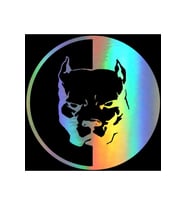 Köpek Pitbull Hologram Renk Oto Araba Sticker