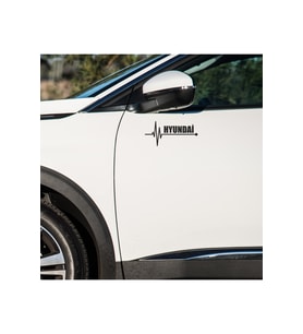 Hyundai HD65 kapı ayna altı 2 adet sticker - atatürk sticker hediyeli