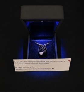 Anneler Gününe Özel Işıklı Kutuda Else Silver 925 Ayar Gümüş Ana Kucağı Kolye