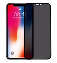 İphone 11 Pro Max  Gizli 5d Hayalet Ekran Koruyucu Cam