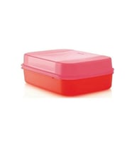 Tupperware Büyük Saklama Kabı