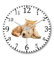 Cats Collection Two Duvar Saati Bombeli Gercek Cam