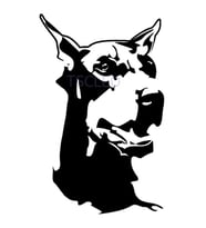 Doberman köpek hayvan araba Sticker dekorasyon