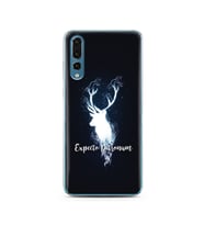 Harry Poter Tasarımlı Süper Şeffaf Silikon Telefon Kılıfı Huawei P20 Pro 