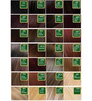 Organıc Natural Colors Saç Boyası 10C Açık Küllü Kumral