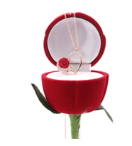 Gümüş Kolye Kalbimdeki Gül Kolye Kadife Gül Kutusunda Sevgiliye (Rose)