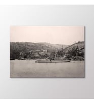 Arty Tablo Bebek, 1901 Tablo (Karışık)