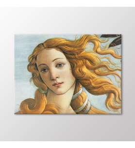 Arty Tablo Venus Tablo (Karışık)