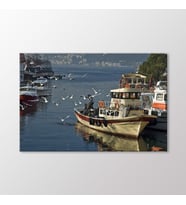 Arty Tablo Göksu Tablo (Karışık)
