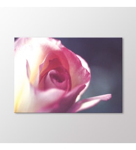 Arty Tablo Pembe Gül Tablo (Karışık)