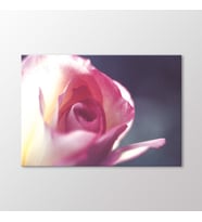 Arty Tablo Pembe Gül Tablo (Karışık)