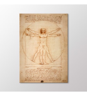 Arty Tablo Vitruvian Man Tablo (Karışık)
