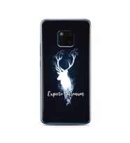 Harry Poter Tasarımlı Süper Şeffaf Silikon Telefon Kılıfı Huawei Mate 20 Pro 