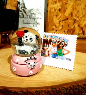 Kişiye Özel Fotoğraflı Sevimli Panda Kar Küresi Arkadaşa Hediye