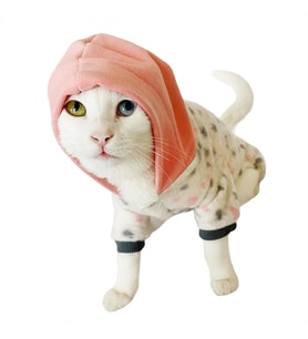Softie Spotty Pink Kedi Tulumu Kedi Kıyafeti