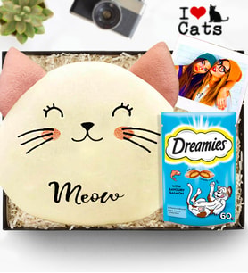 Kişiye Özel Fotoğraflı Kedi Polar Yastık & Dreams Kedi Ödül Maması Hediye Seti