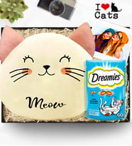 Kişiye Özel Fotoğraflı Kedi Polar Yastık & Dreams Kedi Ödül Maması Hediye Seti