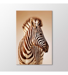 Arty Tablo Zebra Tablo (Karışık)