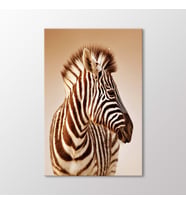 Arty Tablo Zebra Tablo (Karışık)