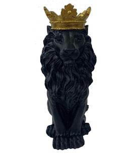 Aslan Kral Biblo