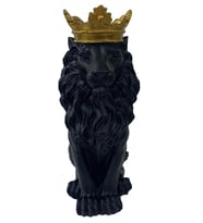 Aslan Kral Biblo